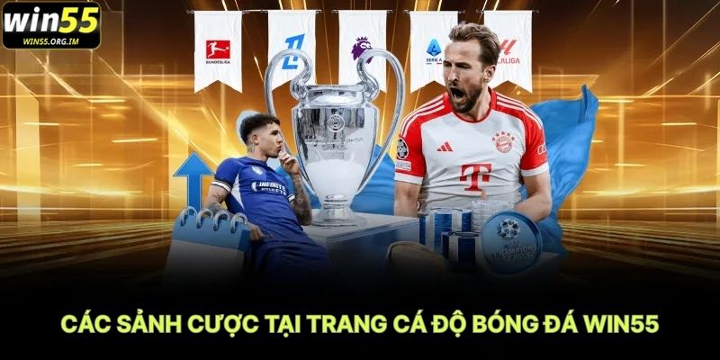 Các Sảnh Cược Tại Trang Cá Độ Bóng Đá WIN55