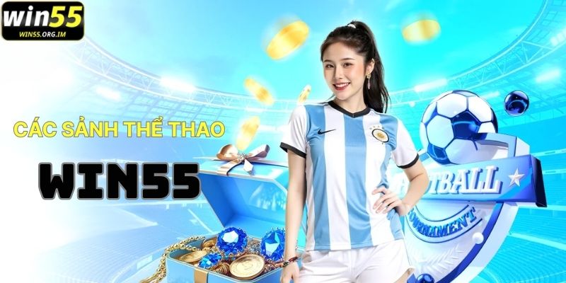 Các Sảnh Thể Thao Phổ Biến Tại WIN55