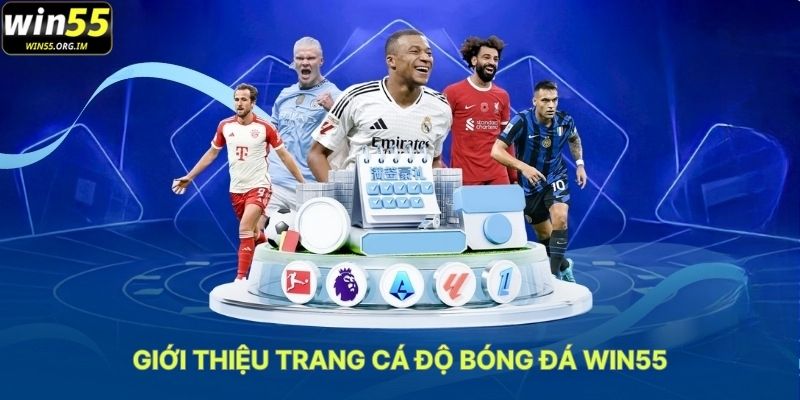Giơi Thiệu Trang Cá Độ Bóng Đá WIN55