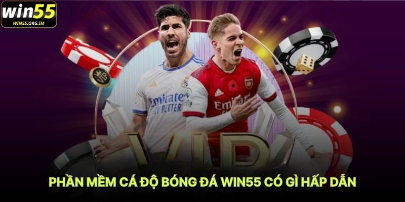 Phần Mềm Cá Độ Bóng Đá WIN55 Có Gì Hấp Dẫn