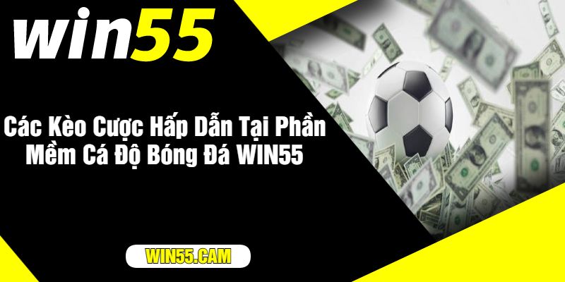 Các Kèo Cược Hấp Dẫn Tại Phần Mềm Cá Độ Bóng Đá WIN55