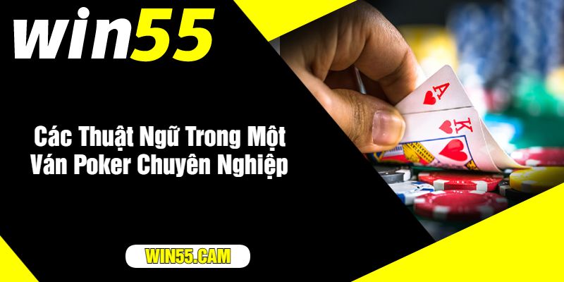 Các Thuật Ngữ Trong Một Ván Poker Chuyên Nghiệp