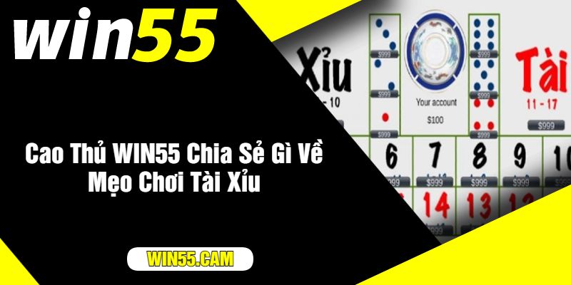 Cao Thủ WIN55 Chia Sẻ Gì Về Mẹo Chơi Tài Xỉu