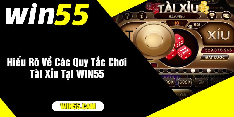 Hiểu Rõ Về Các Quy Tắc Chơi Tài Xỉu Tại WIN55